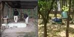 Illegal encroachments on forest land will be broken in Uttarakhand