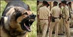 Pet Dog attack on police team in haridwar