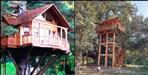 uttarakhand first tree house ready in ramnagar phato range