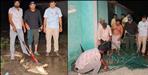 crocodile entered a house in Haridwar