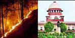 Hearing in the Supreme Court on fire in the forests of Uttarakhand