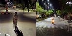 Night curfew may be imposed in Uttarakhand