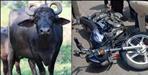 Thieves fled leaving bike phone in Haridwar Jwalapur