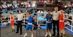 Boxer nivedita of pithoragarh won gold
