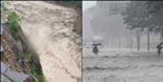 Uttarakhand Weather Update 8 July 2025
