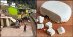 Uttarakhand rauton ki beli village paneer village