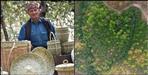 Story of Jagat Singh Junglee of Rudraprayag