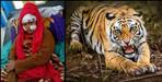 Leela Devi of ​​Haldwani Damuadhunga fought with tiger