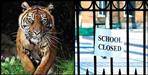 Pauri Garhwal Rikhnikhal tiger two days leave for schools