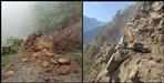 Chances of rain in 5 districts of Uttarakhand
