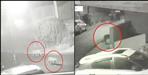 Leopard CCTV in Almora