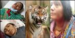 Tiger attacked two women in Haldwani