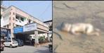 dead body of child in toilet of dehradun coronation hospital