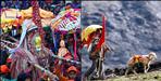 Nanda Devi Raj Jaat 21 Day procession Set