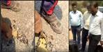 Video of bad road in Champawat goes viral