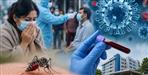 24 New Swine Flu Cases Reported Total Reaches 105