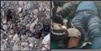 Vehicle fell into a ditch in Chamoli district 12 death