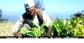 Mohan singh latwal the legend farmer of uttarakhand 