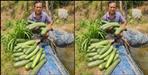 Story of farmer Kishan Rana of Bageshwar