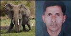 Elephant killed a farmer in uttarakhand
