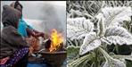 Uttarakhand Weather Update 11 January 2026