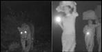 Migrants workers cross path with leopard in Uttarakhand