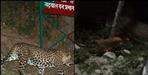Video of Guldar in Srinagar Garhwal
