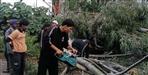 Tree Falls During Storm in Kotdwar 1 Dead and Another Injured
