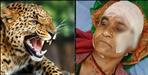 Mother-in-law fought with leopard to save daughter-in-law in Rudraprayag