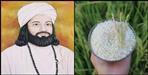 Story behind dehradun basmati rice