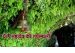 Koteshwar mahadev the temple of lord shiva