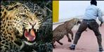 Pauri Garhwal Kotdwar dheeraj fought with leopard to save friend