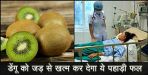Kiwi fruit is best medicine for dengue