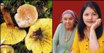 Two died after eating wild mushrooms