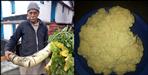 Pratap singh made agriculture the basis of progress at dwarahat