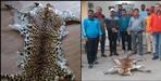Smuggler arrested with leopard skin in Udham Singh Nagar