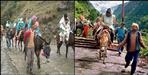 400 mules died in 23 days in Kedarnath