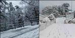 mussoorie dhanaulti snowfall 20 january latest photo video