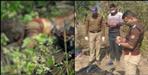 Skeleton found in Almora by the river