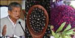 Harish rawat speaks about Kafal Kala bhatt and cm