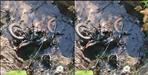 Bike falls into deep ditch in Pithoragarh