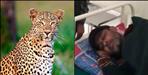 Youth fought with leopard in pauri garhwal