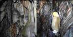 Mahakaleshwar Cave at Gangolihat in Pithoragarh