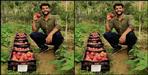 Gaurav Sharma of Mukteshwar started apple cultivation