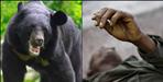 bear attack on BRO worker in munsiyari