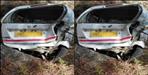 Car fell into a ditch in Champawat death of Dungar Singh