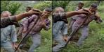 Dead snake came out of pipeline in Tholdhar