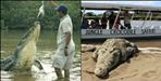 Uttarakhand first crocodile safari