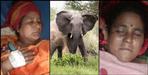 Elephant attack on women in Khatima forest