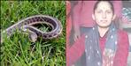 17 year old girl dies due to snake bite